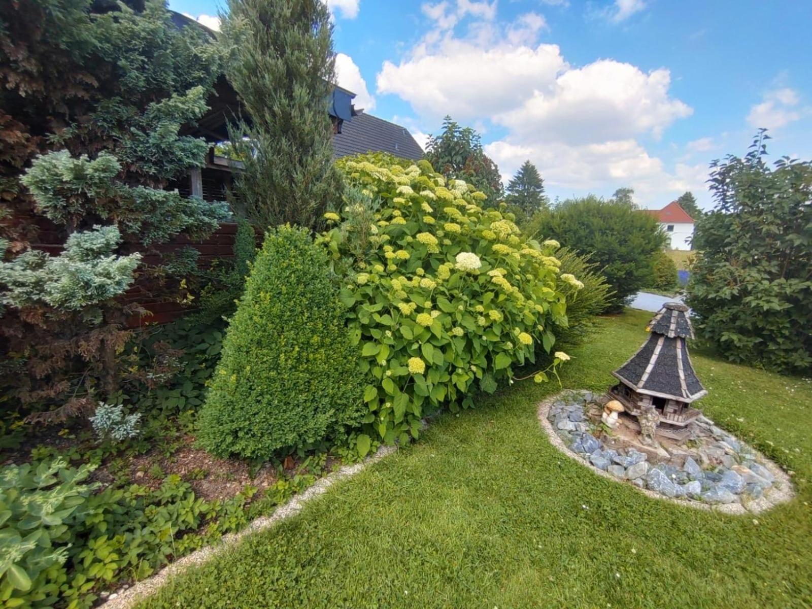 Ferienwohnung Rosa Horn-Bad Meinberg Exterior photo